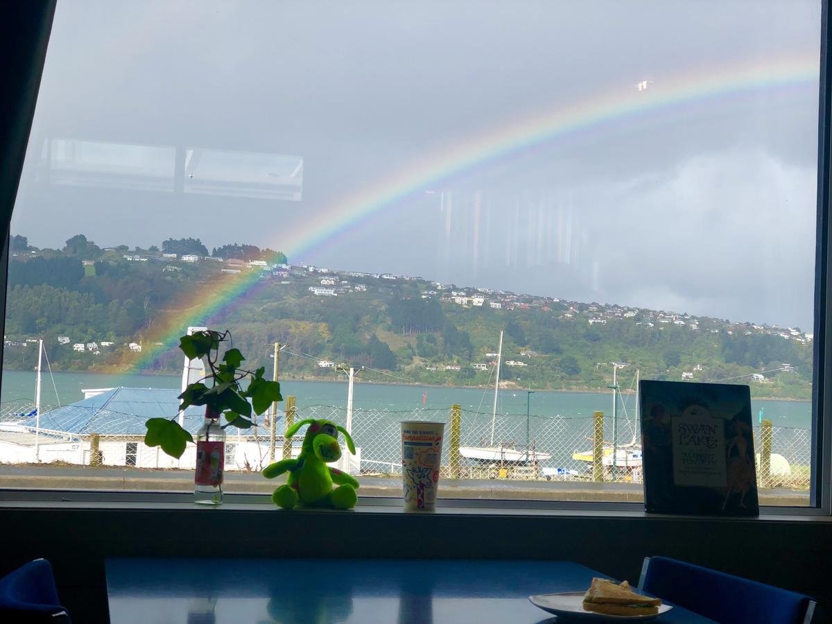 Harbourview Stadium Hotel 但尼丁 外观 照片